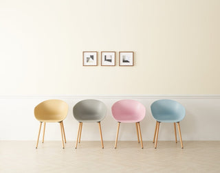 Colorful chairs in modern interior