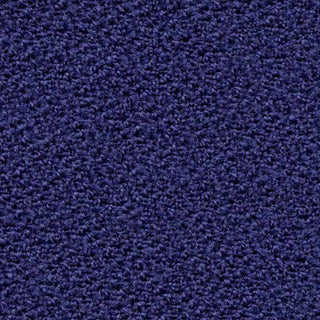 Atlas Emperor blue carpet texture
