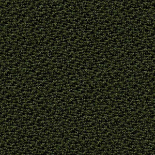 Atlas Highland green carpet texture