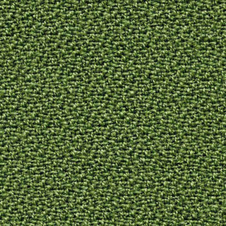 Green Atlas Parrot fabric detail