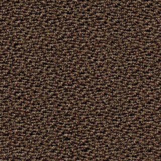 Atlas Wren Brown Carpet Texture
