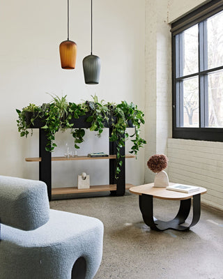 Modern living room with plant shelf and stylish decor