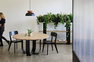 Modern office dining area with plants and round table.