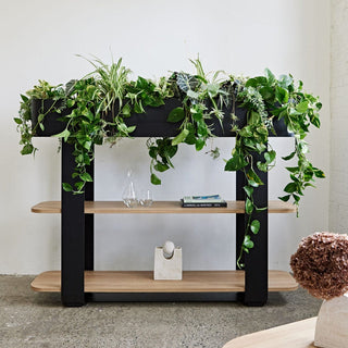 Modern console table with built-in planter and plants