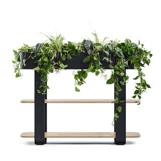 Bastien Hybrid plant shelf with live greenery.