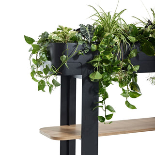 Modern planter with lush greenery