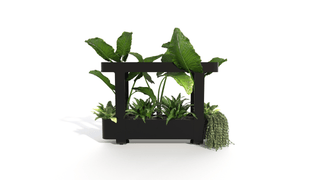 Bastien large black planter with lush greenery.