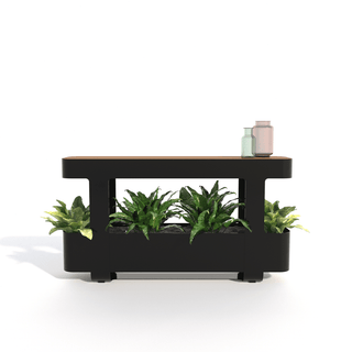 Bastien planter island with front view and plants