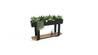 Bastien small hybrid planter with plants