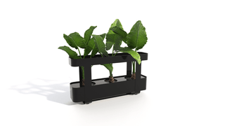 Bastien small black planter with green plants