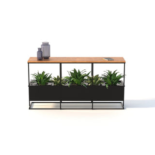 Island console table with plants