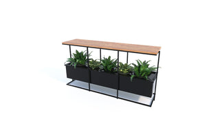 Island console table with plants
