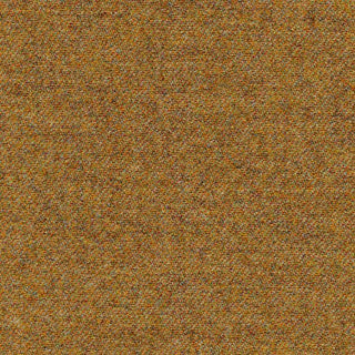 Adventurous textured brown surface