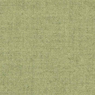 Thrilled green fabric texture