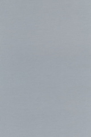 Light blue textured background