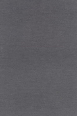 Gray textured background (F_13018_C0133_W24)