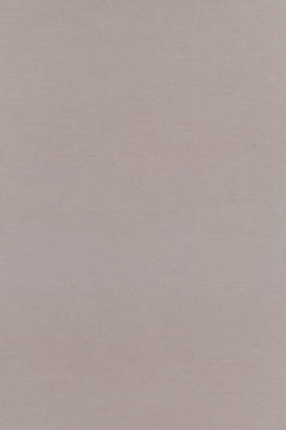 Light taupe background