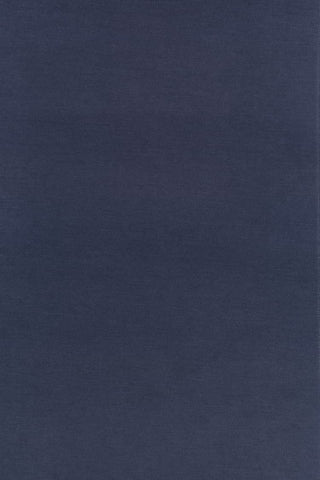 Dark blue textured background (F_13018_C0673_W24)