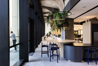 GEYER 201 George St office interior with hanging plants and city views