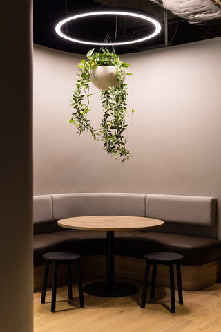 GEYER 201 George St. office lounge area with hanging plant