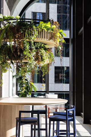 Geyer 201 George St office interior with hanging plants and city view.