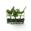 Large grid planter with lush greenery