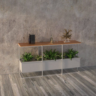 Grid-2000 island console with plants in modern interior.