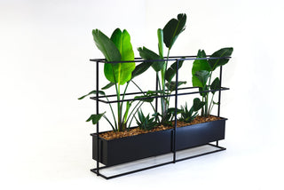 Black metal grid planter with green plants