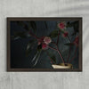 Hakea laurina in black frame art print on wall