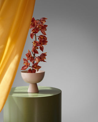 Orchids in vase on green pedestal with yellow curtain