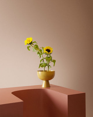 Yellow sunflowers in a golden vase