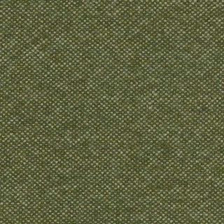 Olive green fabric swatch