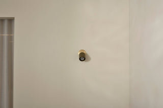 Marz Designs Terra-1 articulating olive brass wall light