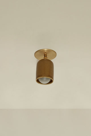 Marz Designs Terra 1 articulating brass ceiling light