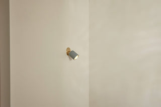 Marz Designs Terra 1 Short Articulating Fog Brass Wall Light