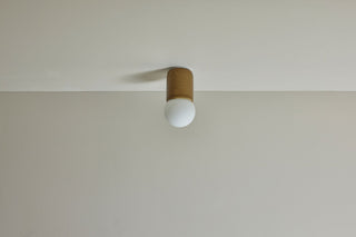 Marz Designs Terra 1 Surface Sconce in Chartreuse and White