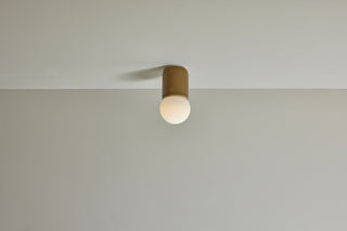 Marz Designs Terra 1 Chartreuse Sconce