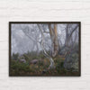 Morning fog in the Snowy Mountains framed art