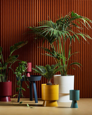 Palm Springs family home decor with potted plants.