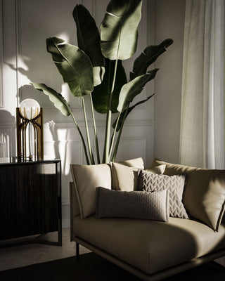modern living room with plant and sofa.