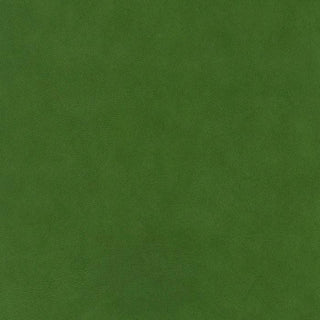 Verona Lawn - Green Lawn Texture