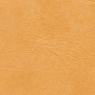 Verona Butterscotch leather texture