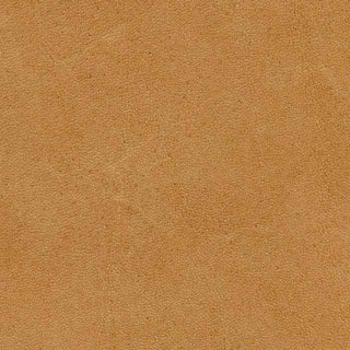 Verona Walnut texture in warm brown