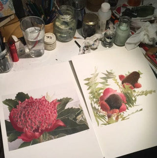Waratah and Banksia painting WIP by G. Ginty
