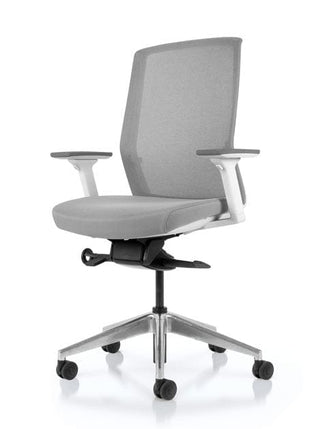 Advanta Aveya Task Chair - White Frame, Grey Mesh