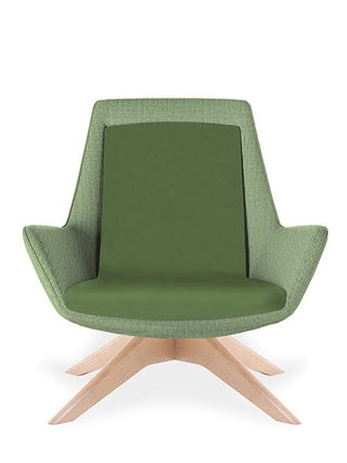 Aquila One Lounge Low Chair in Green
