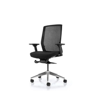 Aveyasq ergonomic office chair