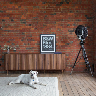 Flare photo studio with dog, B&W film poster and camera.