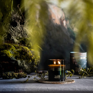 HiddenVale3 candle with lit flame and natural setting.