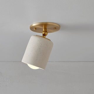 Marz Designs Terra1 brass & vanilla bean articulating ceiling light.